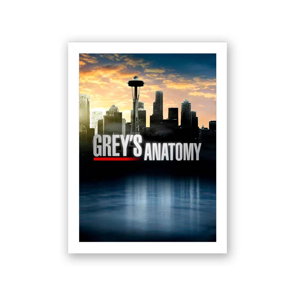 Quadro Decorativo 27x36 Grey's Anatomy Fundo Cidade