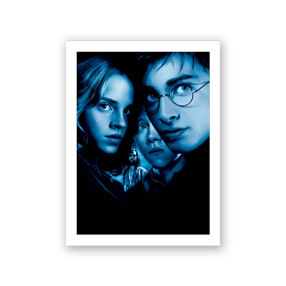 Quadro Decorativo 27X36 Harry Potter Personagens