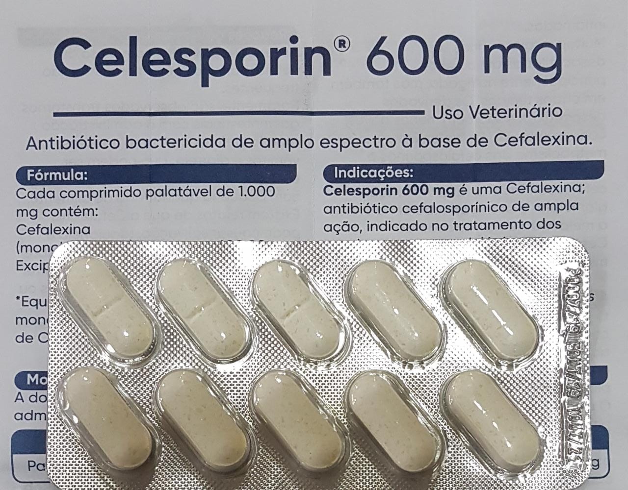 Celesporin 600 mg Ourofino - Blíster com 10 comprimidos 