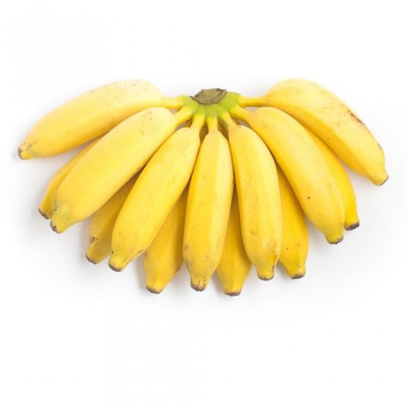 Banana Prata Orgânica -  2 Penca (1600 - 2000g) - Foto 0