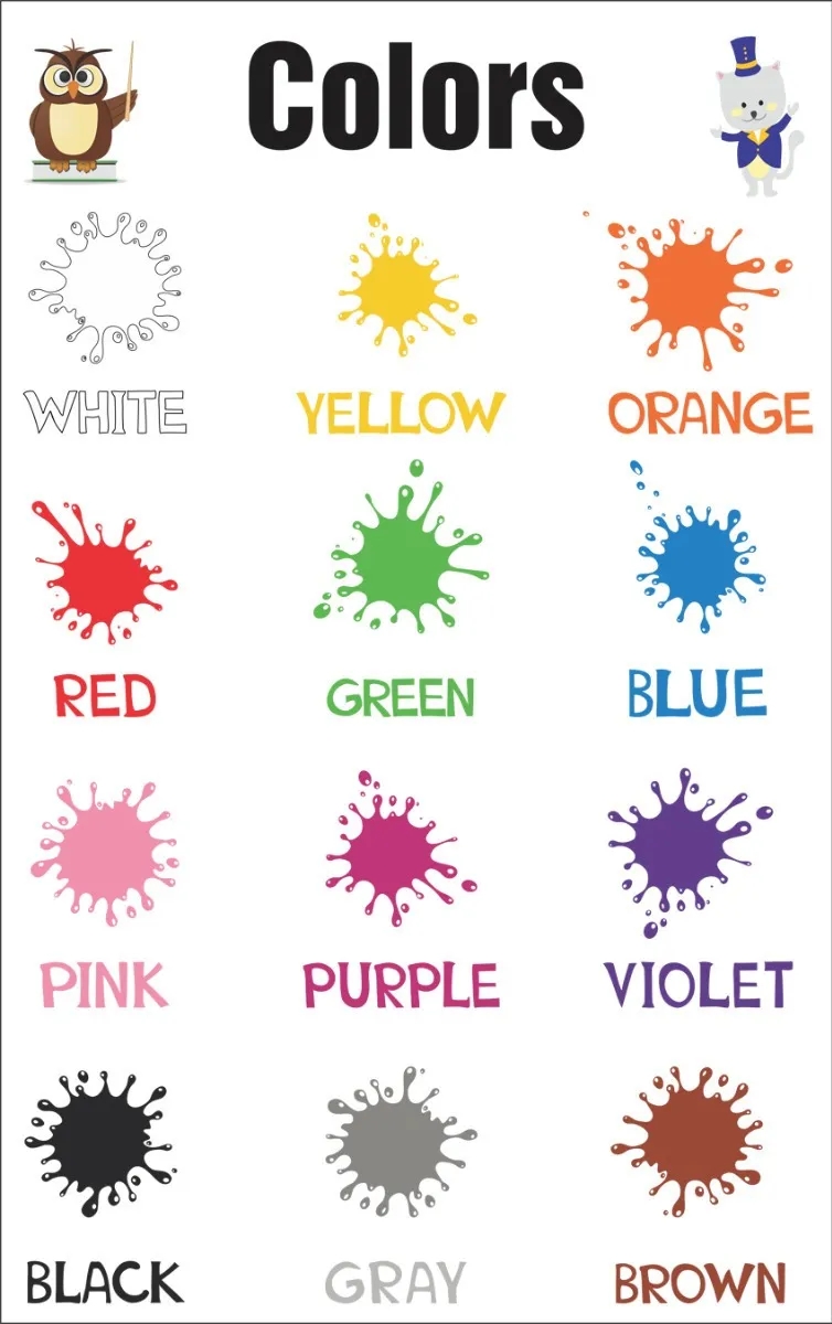 Colors Cores Em Inglês Escolar Painel Lona - Will1035