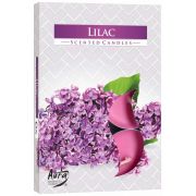 Lilac (6 unidades)