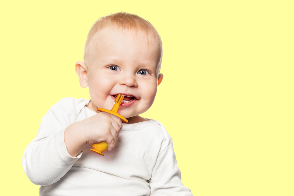 Escova Massageadora Infantil Bebe Silicone Livre de BPA Marcus & Marcus Girafa - Encanto Baby