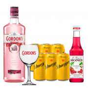 Kit - Gin Gordon's Pink 750ml, Mini Monin Framboesa 250ml, Taça Acrílico Gordon's com 6un Tônica Schweppes