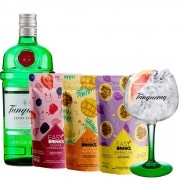 Combo Tanqueray + Easy Drinks