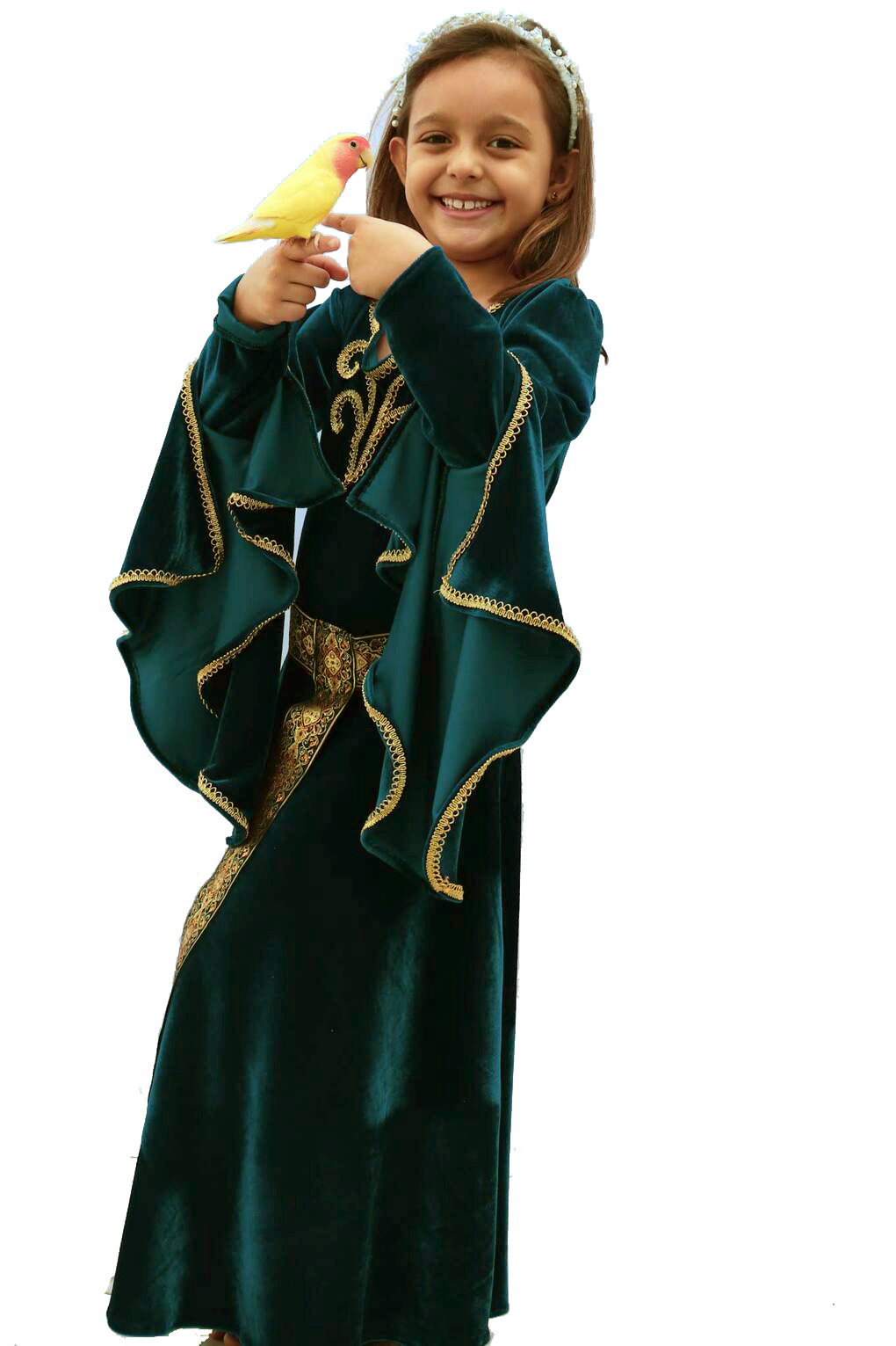 Vestido medieval Elfa Adulto luxo