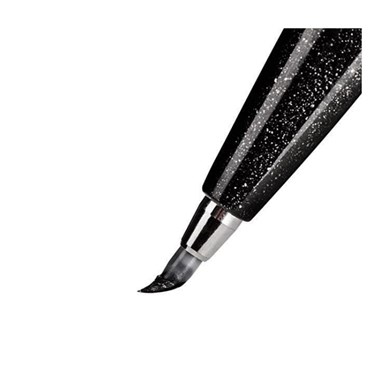 Caneta PENTEL Brush Sign Pen Touch