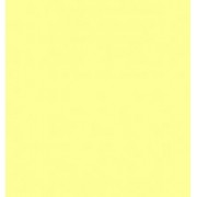 Formica Padrão Unicolor L 105 Amarelo Claro TX 0,8
