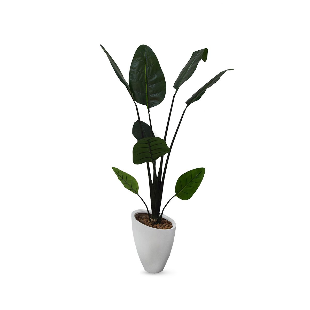 Planta Bananeira Permanente 1,80 cm