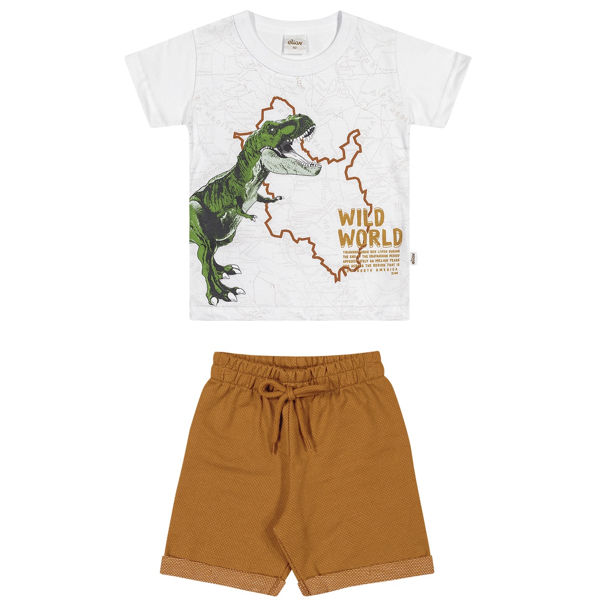 Conjunto Infantil Menino Camiseta e Bermuda Elian 221161