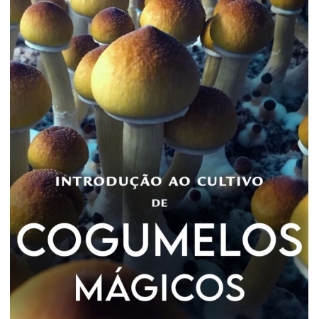 Workshop de Cultivo de Cogumelos Mágicos