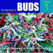 LIVRO BIG BOOK OF BUDS 1