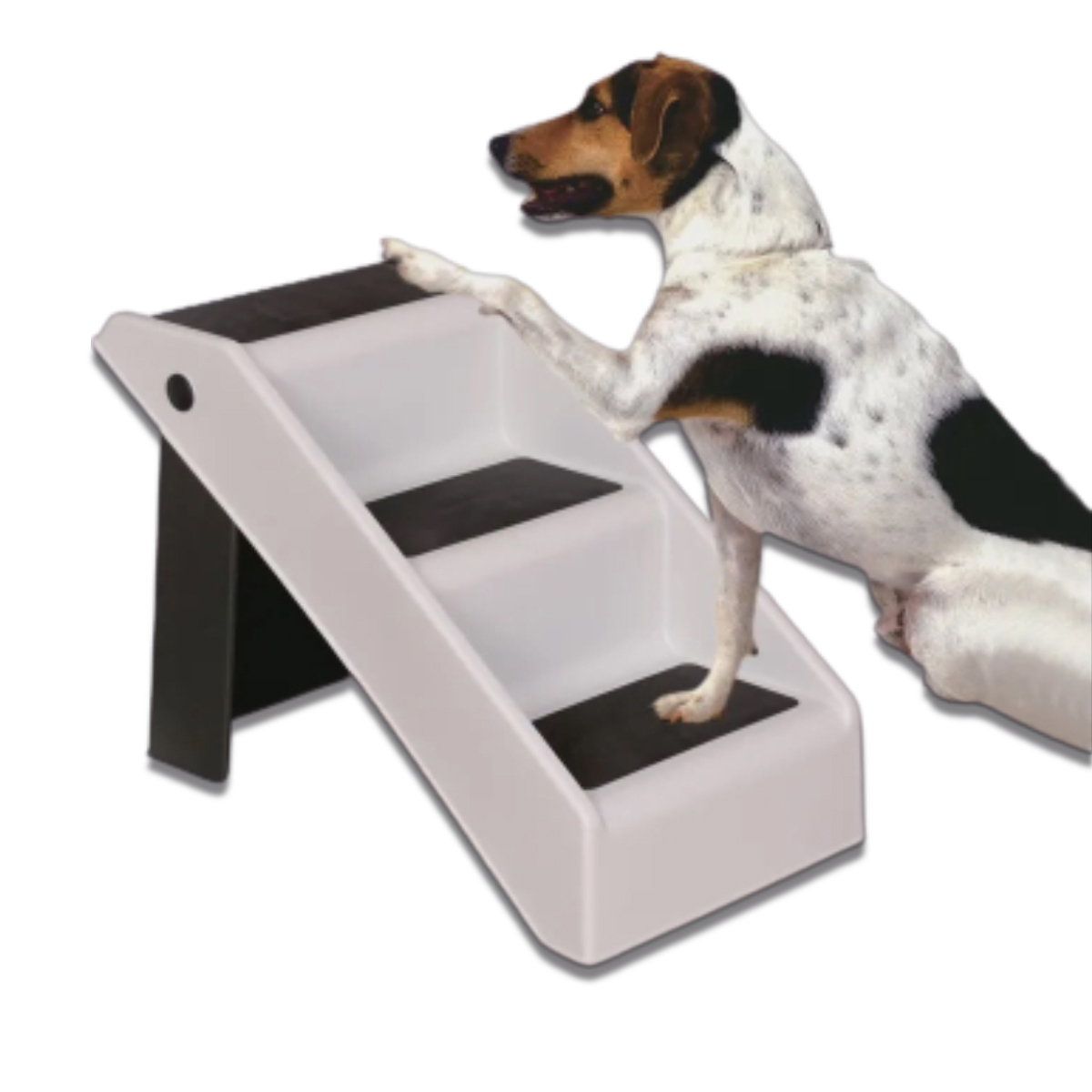 Escada Dobrável Dog Jump para Cães - Chalesco