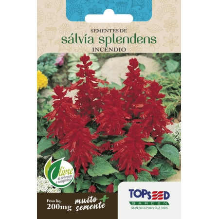 Env. Flores Salvia Splendens 200 mg - Topseed