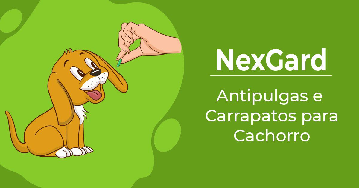 Nexgard P/ Cães De 2 A 4kg - Antipulgas Merial  3 Comprimidos
