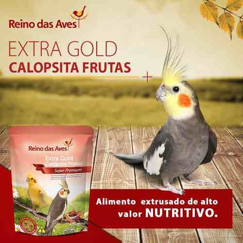 Ração Extra Gold Calopsita Frutas 400gr - Reino Das Aves KIT COM 2