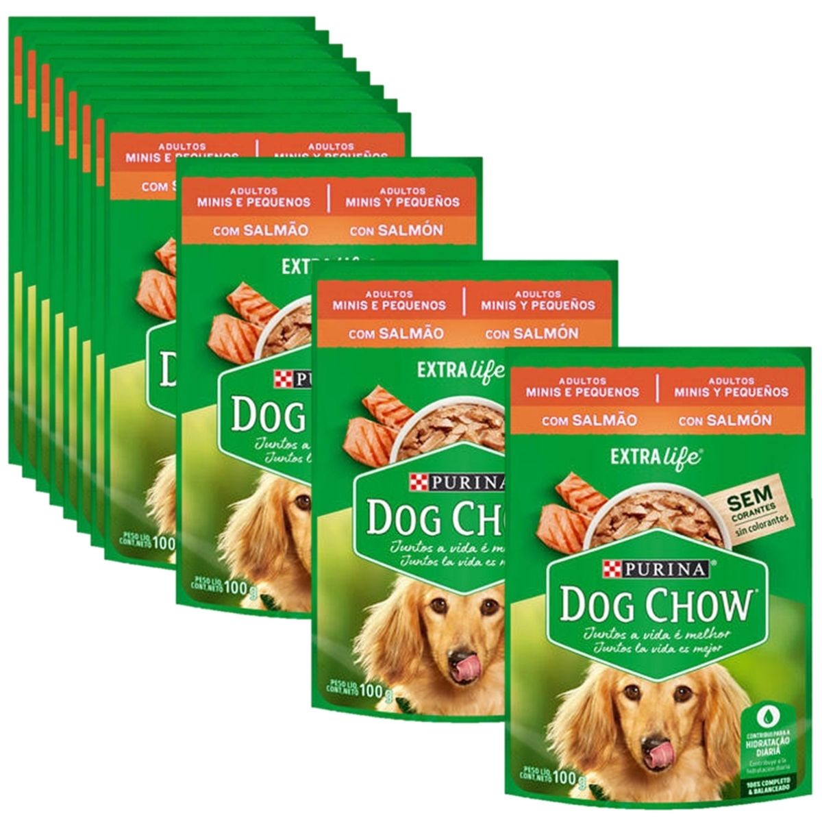 Sachê Dog Chow Cães adulto pequeno porte  sabor  salmão 12 unidades