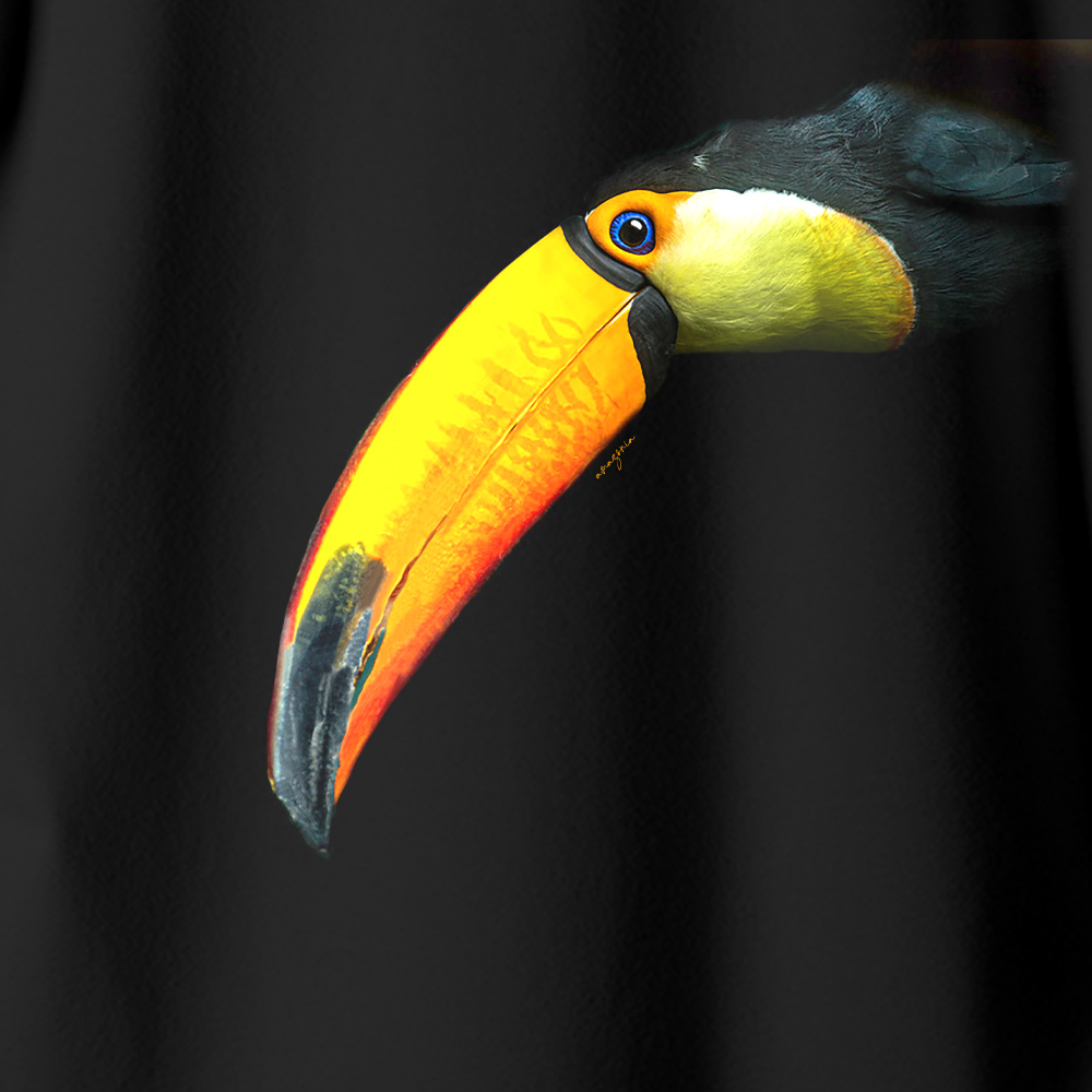 Camiseta Amazônia Tucano Toco - Preto