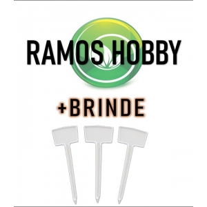 RAMOS HOBBY - Kit Hidropônico