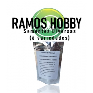 RAMOS HOBBY - Kit Hidropônico