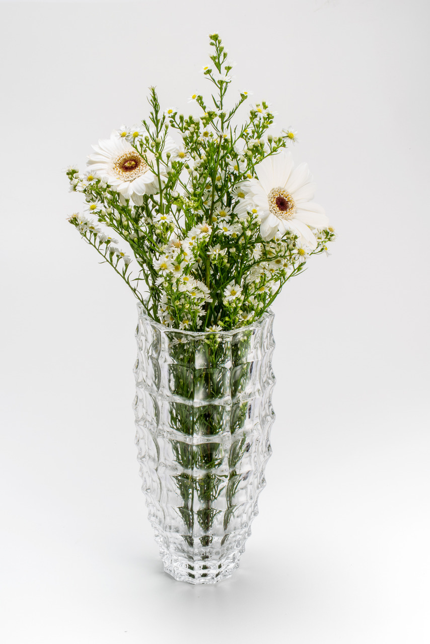 Vaso de Cristal Transparente Mauricius Wolff 27cm
