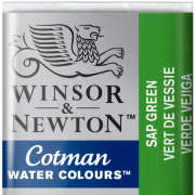 Tinta Aquarela em Pastilha Cotman Winsor & Newton Sap Green 599