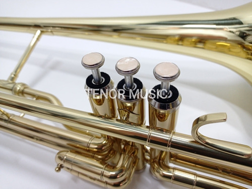 Trombone De Pistos Michael M35 Sib Novo