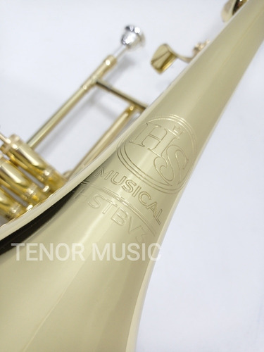 Trombone Profissional Hs Musical Tbv3 - NOVO