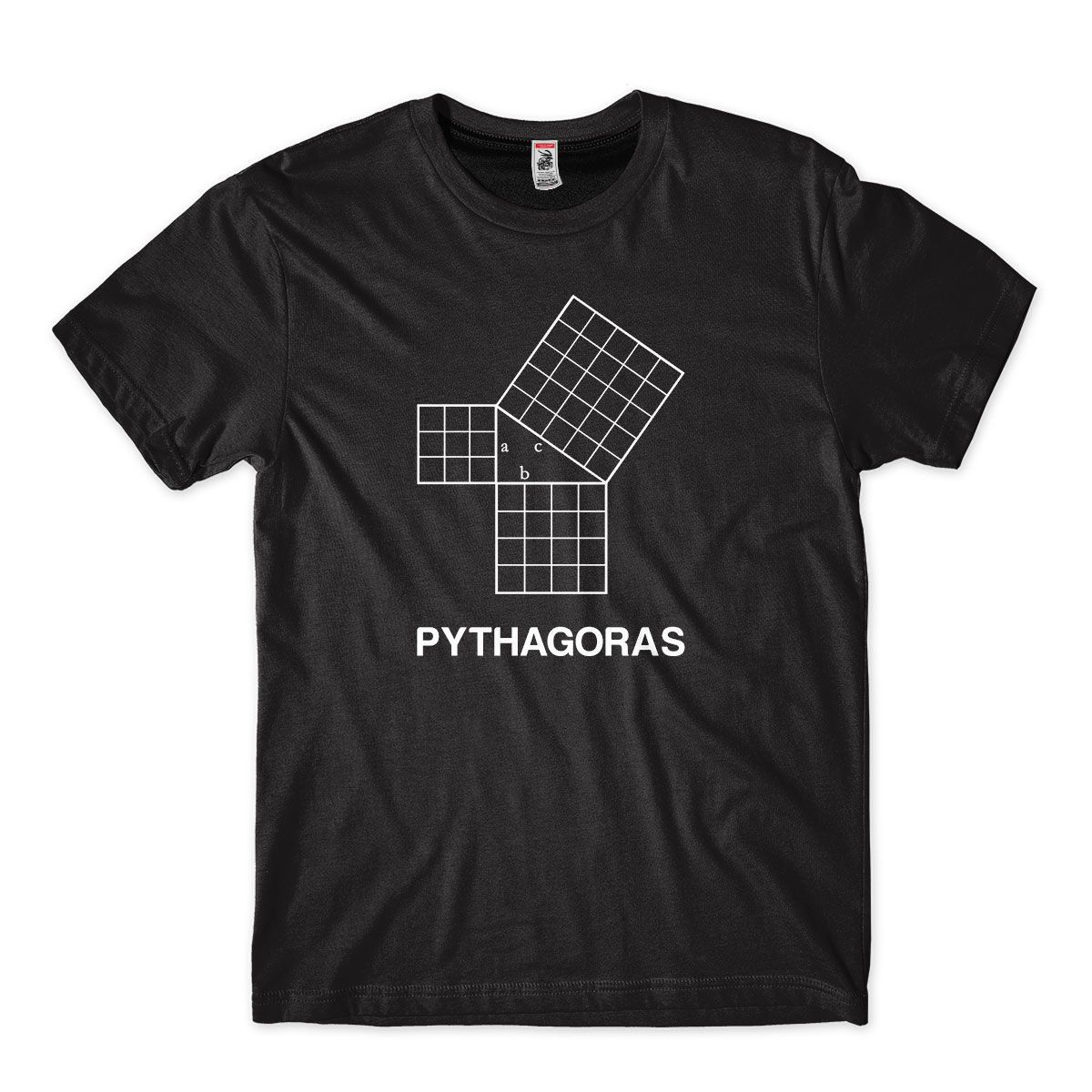 Camiseta Matematica Teorema de Pitagoras Masculina