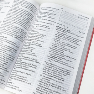 Bíblia 365 para Corajosas NVT | Leitura Diária