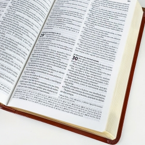 Bíblia Sagrada | Almeida Século 21 | Luxo Marrom com Referências Cruzadas