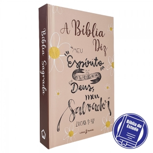 Kit 2 Livros | A Bíblia Diz | NVI | Capa Dura - Lettering + Introdução Bíblica