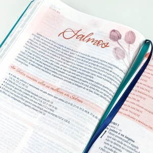 Kit 2 Livros | Mulheres da Bíblia + Bíblia de Estudo da Mulher | NAA | Capa Luxo Turquesa