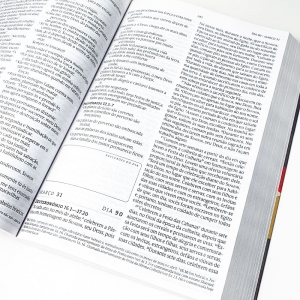 Kit Bíblia 365 com Quadros NVT + Diário de Oração Lettering