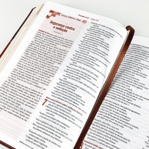 Kit Bíblia de Estudo Desafios de Todo Homem NVT Marrom + 4 Sermões Spurgeon e Jonathan Edwards
