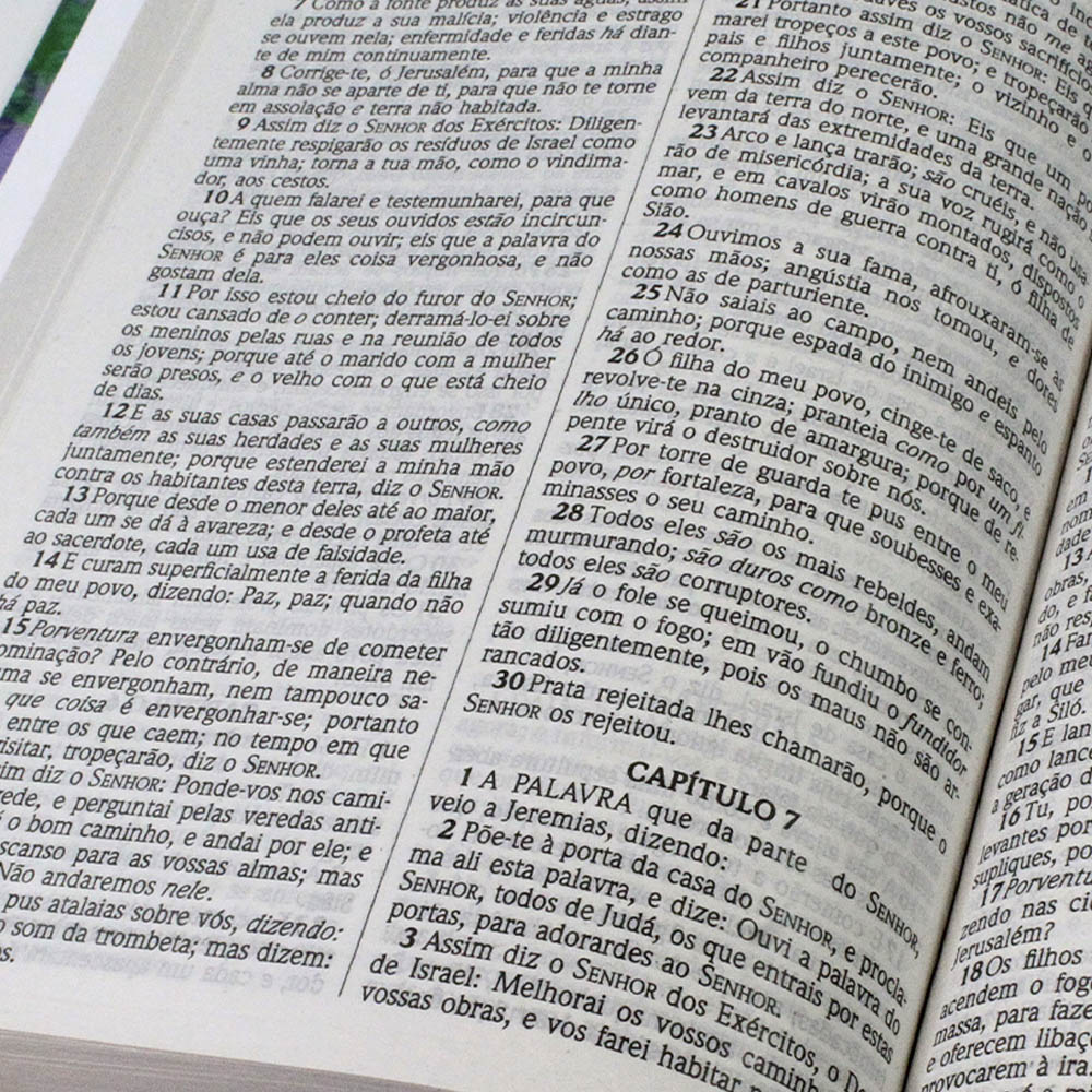 Bíblia Capa Dura | Leão Color | ACF
