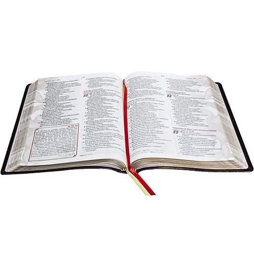 Bíblia com Reflexões de Lutero Grande - Vinho Nobre