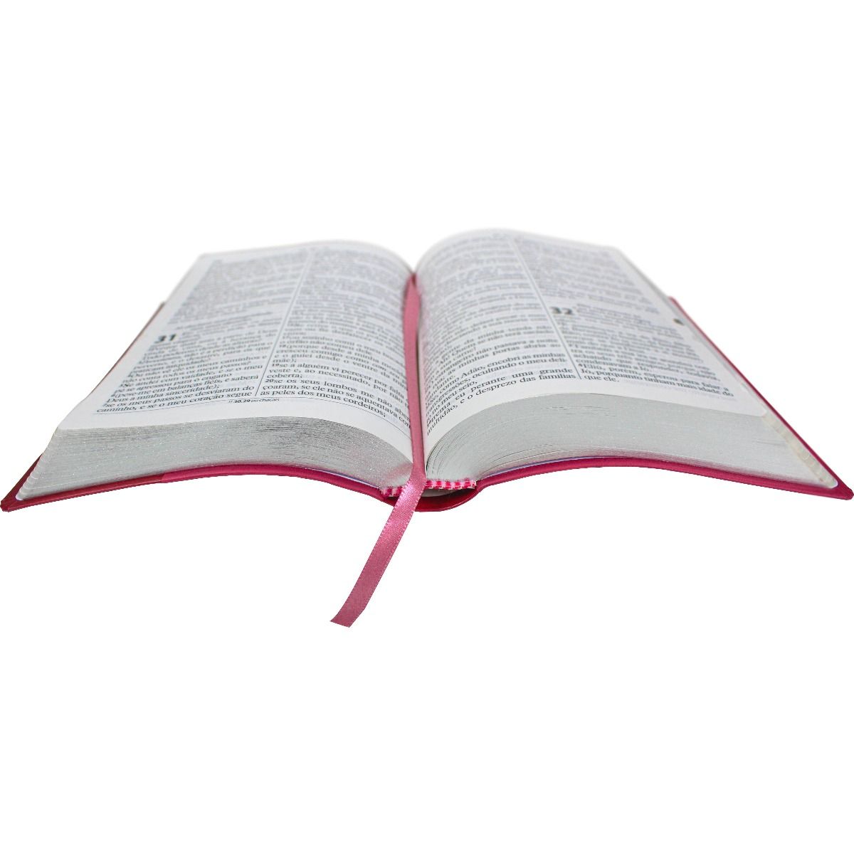 Bíblia Letra Gigante ARC Com Índice Pink Flor