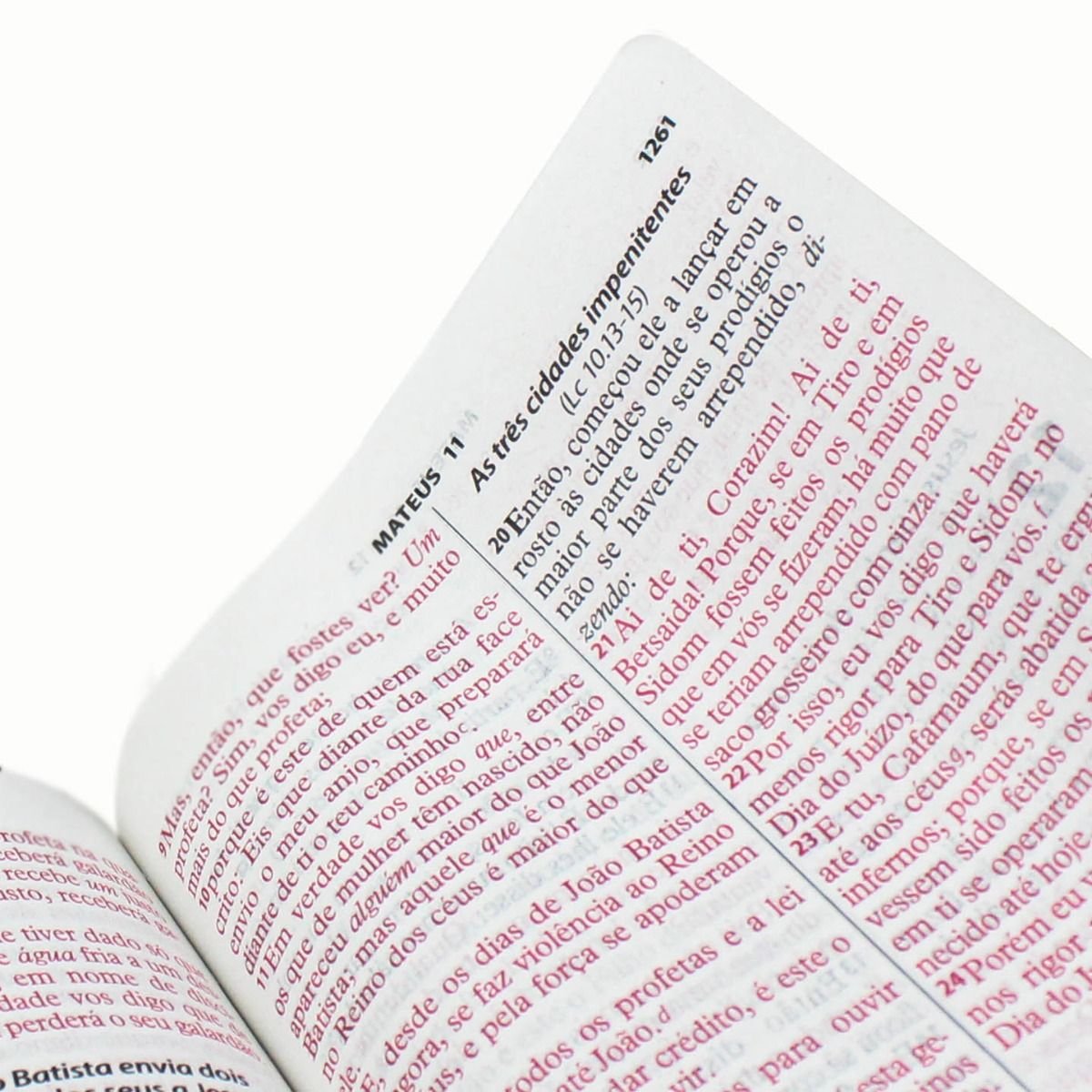Bíblia Letra Gigante ARC Com Índice Pink Flor