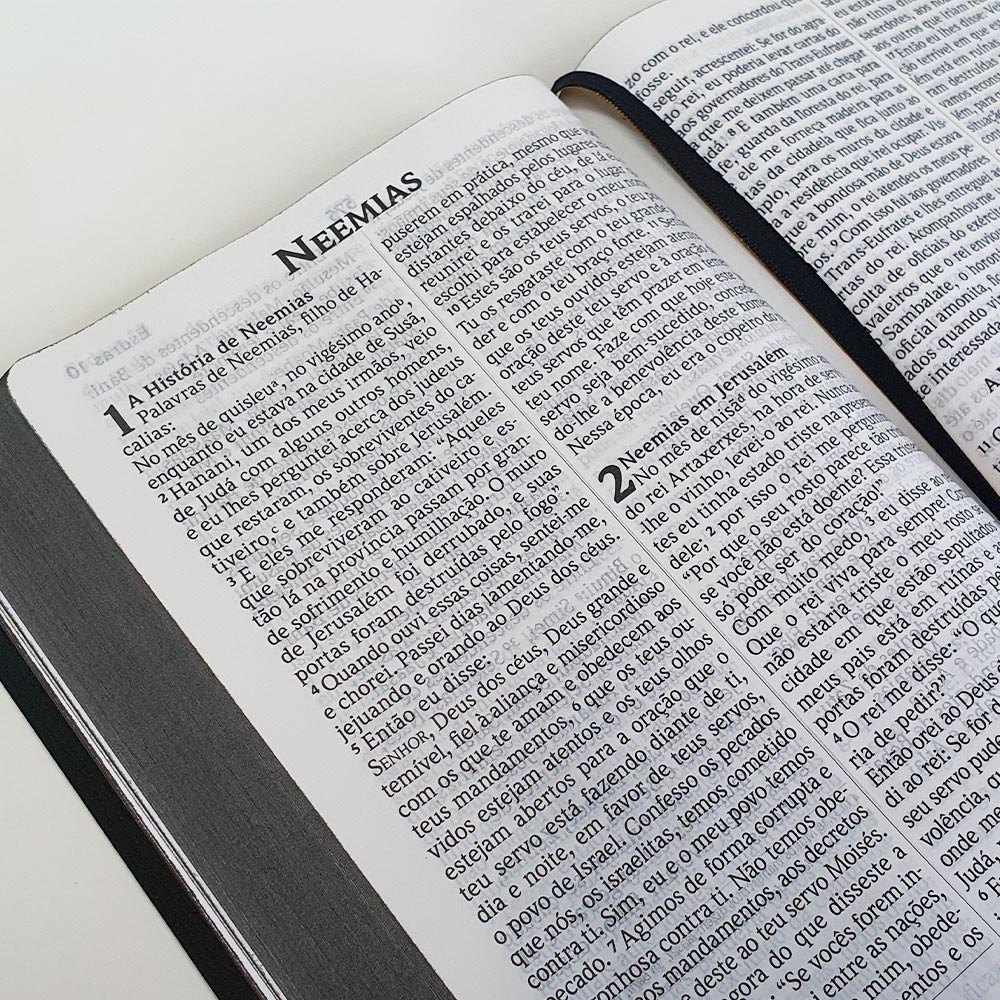 Bíblia NVI Letra Extragigante 2 Cores | Semi-Luxo