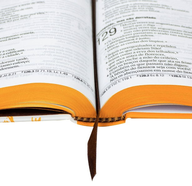 Bíblia Sagrada NAA Letra Grande | Leão Dourado