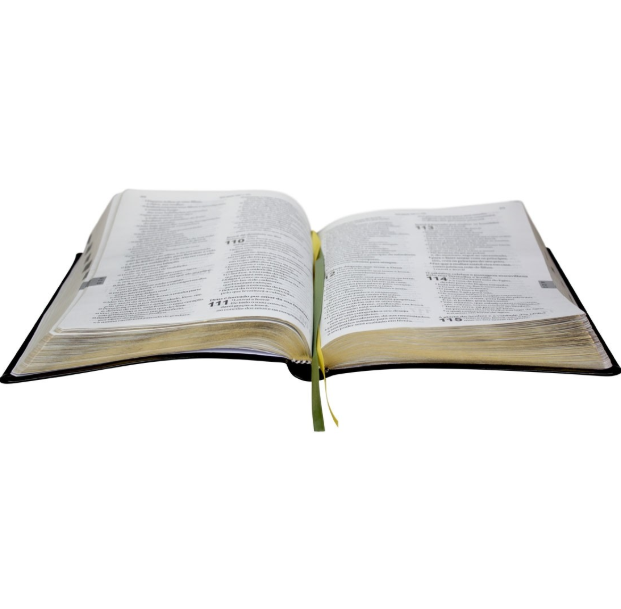 Bíblia Tradução Brasileira - Introduções Acadêmicas