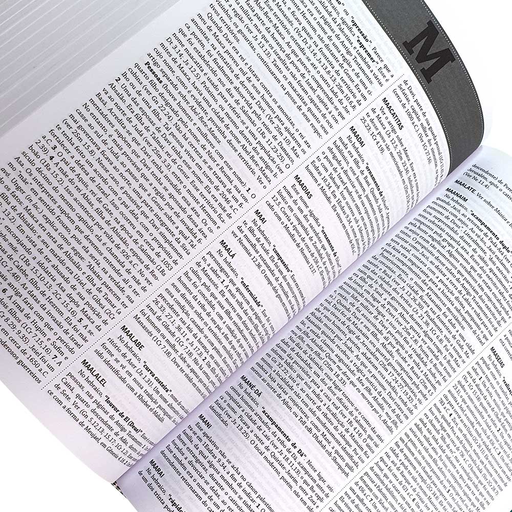 Novo Dicionário Bíblico | Russel Norman Champlin