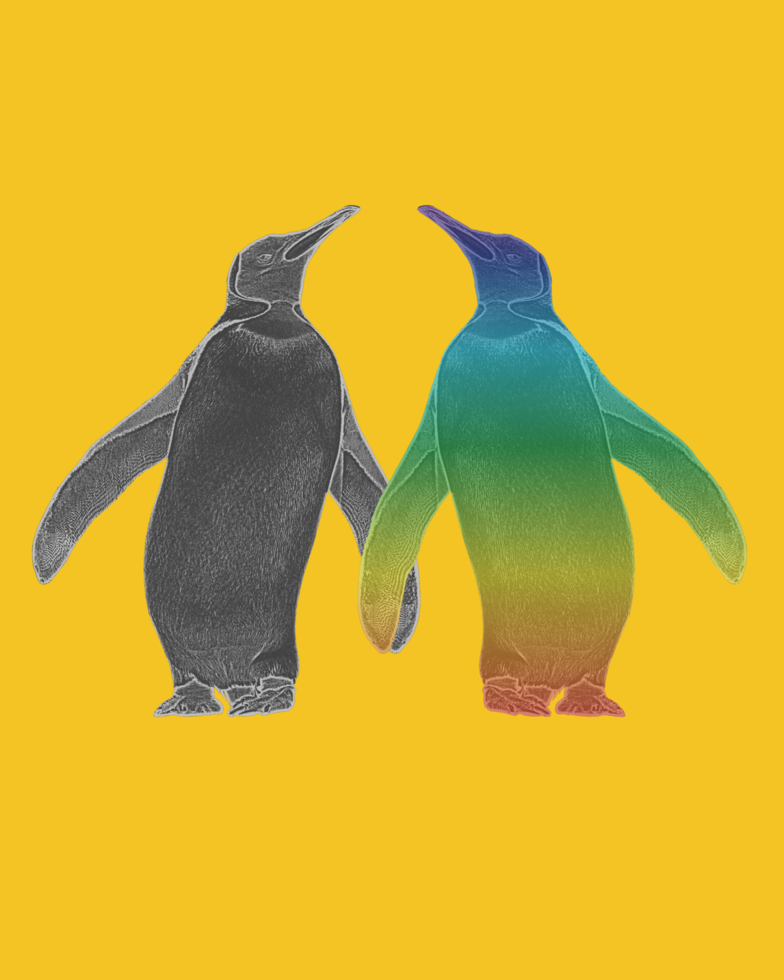 Pinguins Atípicos