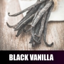 Essência Concentrada 100ml Black Vanilla