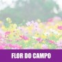 Essência HS Flor Do Campo 1/80