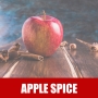 Essência Pura 100ml Apple Spice