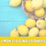Essência Pura 100ml Limon-cielo Wallflowers