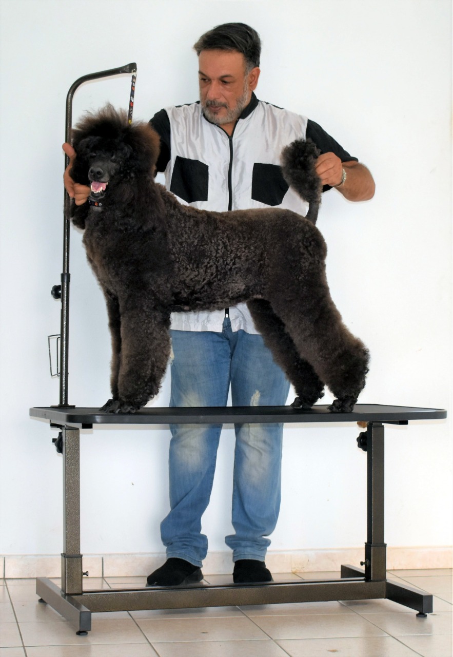 Mesa groomer cães grandes by Sérgio Villasanti