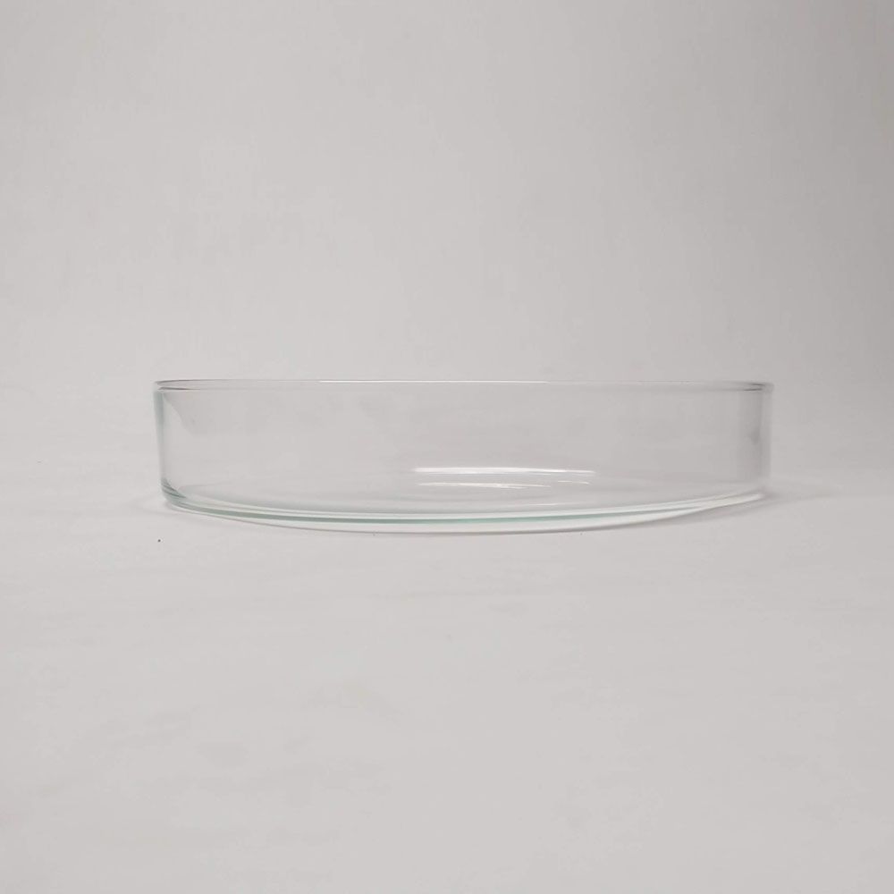 Vaso Cilindrico de Vidro 6 x 32 cm